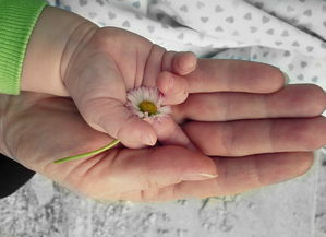 孕妈捐卵代生双胞胎机构：怀孕1周到4周受精卵着床过程有什么感觉？